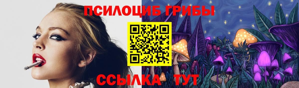 Галлюциногенные грибы Psilocybine cubensis Спасск-Дальний